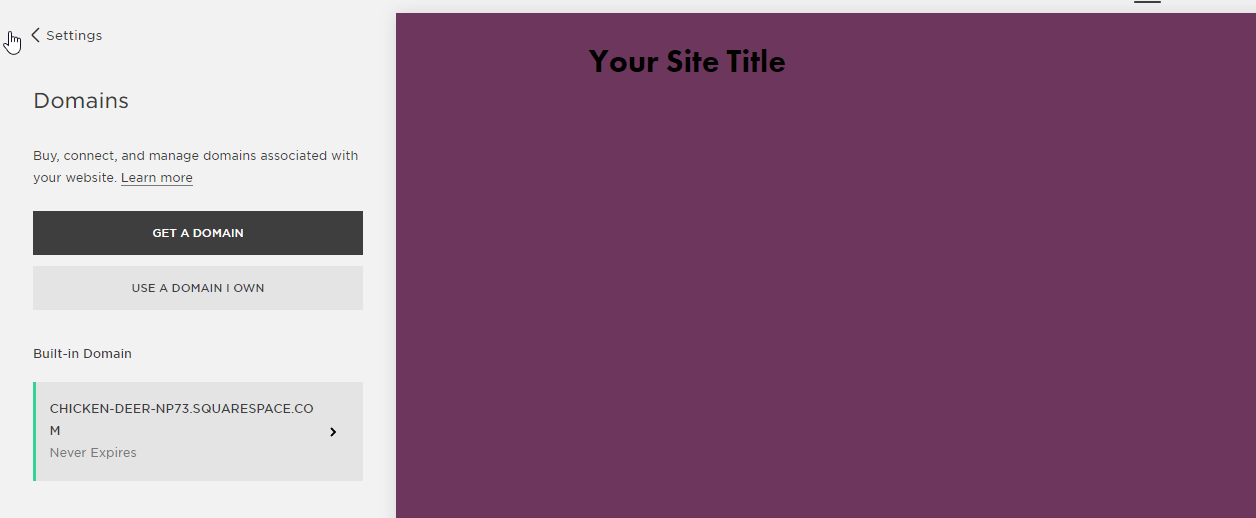 squarespace-domain