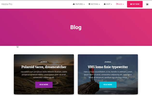 Best WordPress Themes for Bloggers You Should Know 3