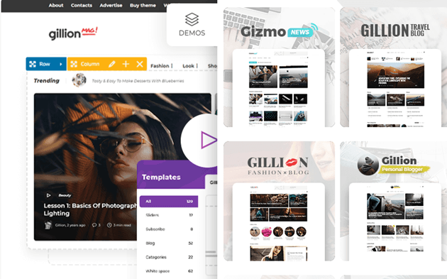 WordPress theme Gillion