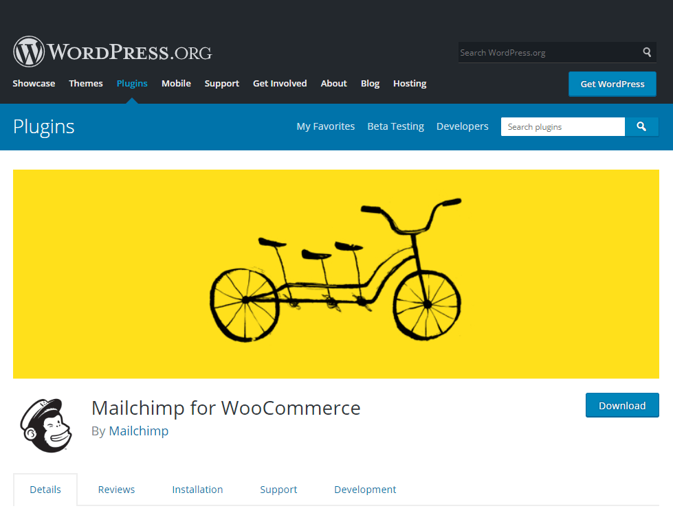 mailchimp- how to create a news website in WordPress