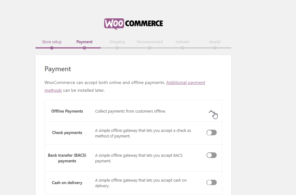 woosetup, payment- create e-commerce website using WordPress