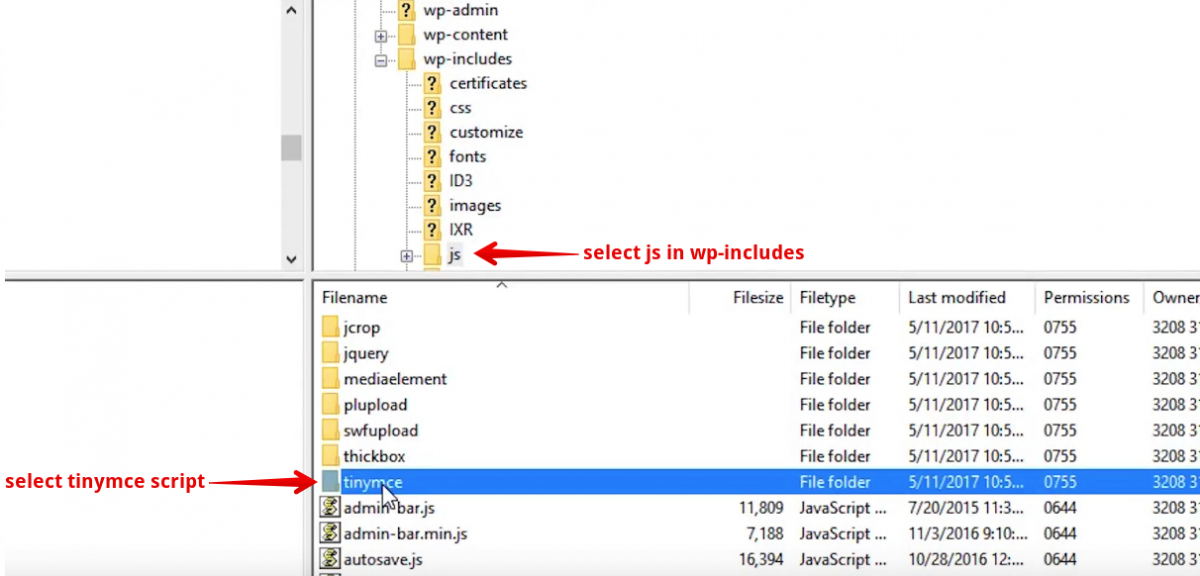 35+ Most Common WordPress Errors and How to Fix Them?