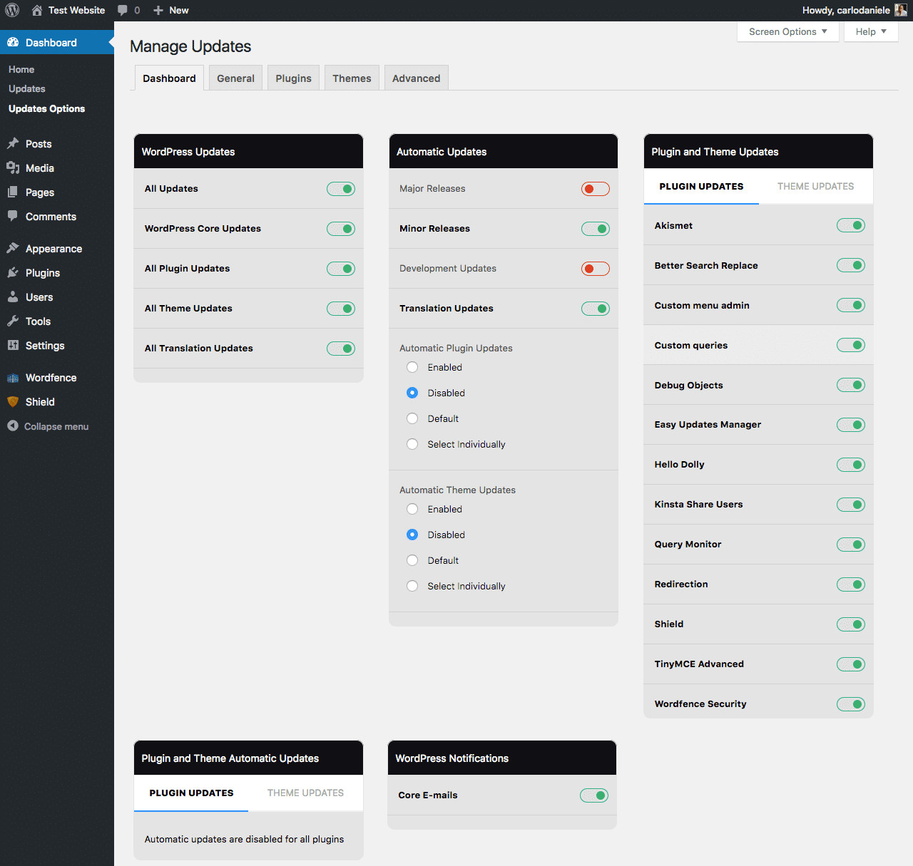 easy_updates_manager_wordprss automatic updates