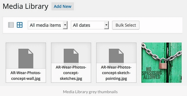 Get Rid of 39+ Common Image Issues in WordPress Once and For All 10