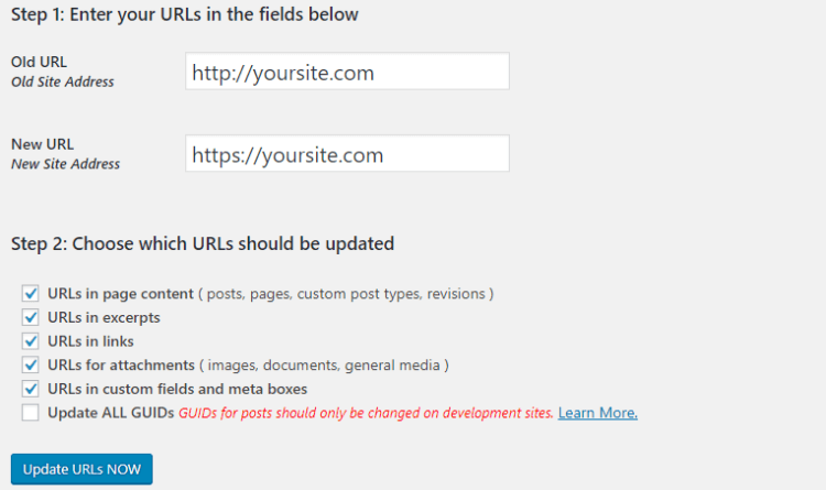 Find Replace URL - Fix Mixed Content Error WordPress