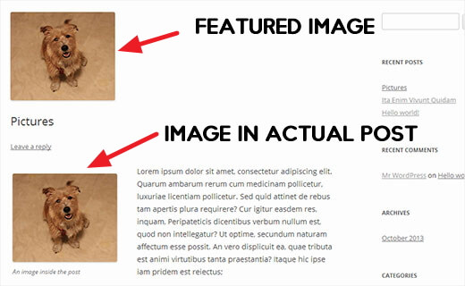 fix duplicate featured image