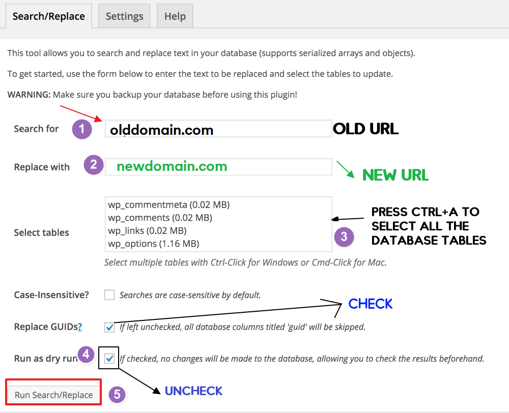 Domain Change WordPress