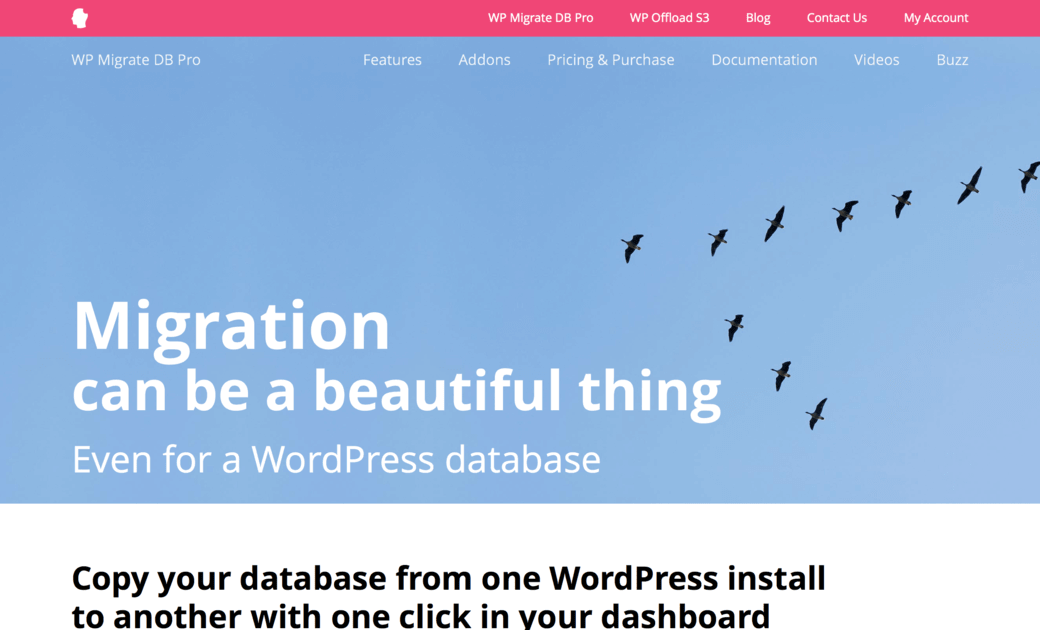 10+ Best WordPress Migration Plugin To Safely Move Your Site