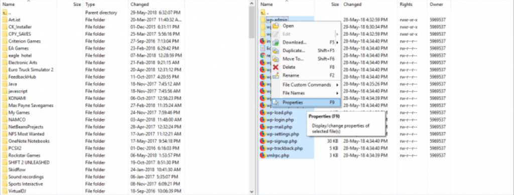 All Files Root Folder