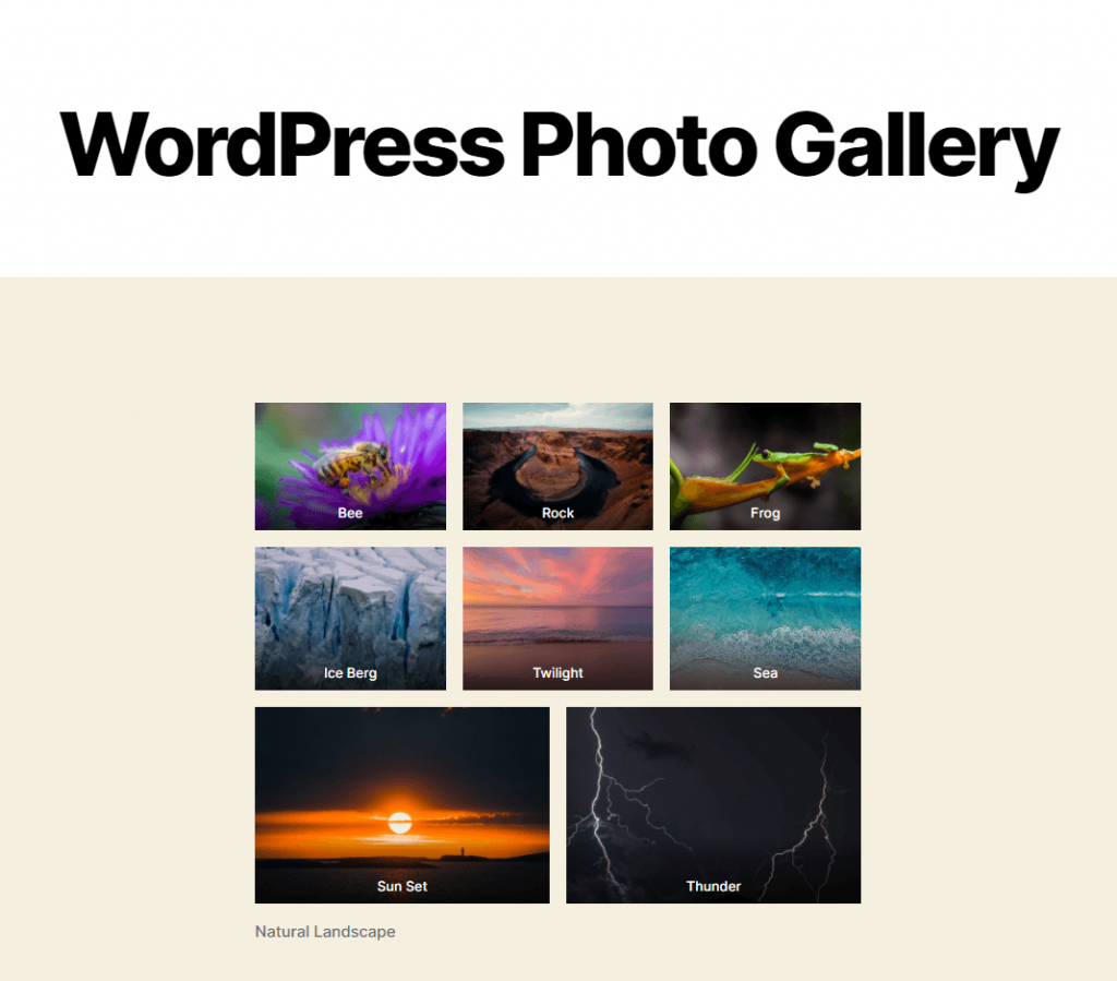 How to Create a WordPress Photo Gallery (Step By Step Guide)