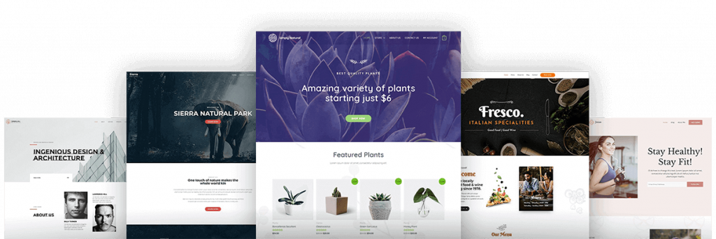 Astra multipurpose theme