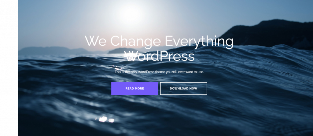 Shapely WordPress theme for business website 