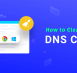 How to clear DNS cache