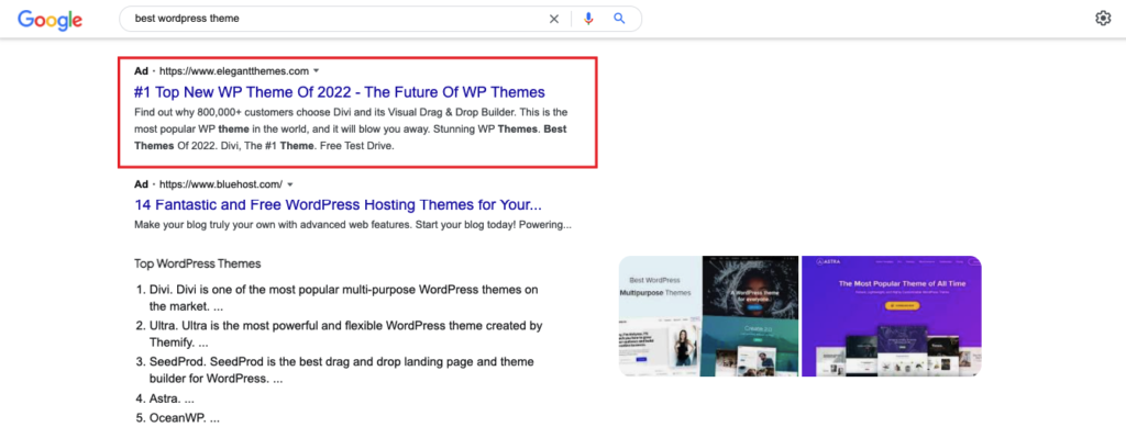 Google Paid Search Ad