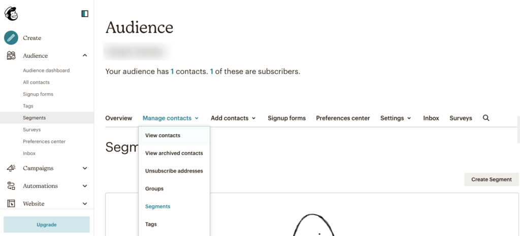 MailChimp Audience Segmentation