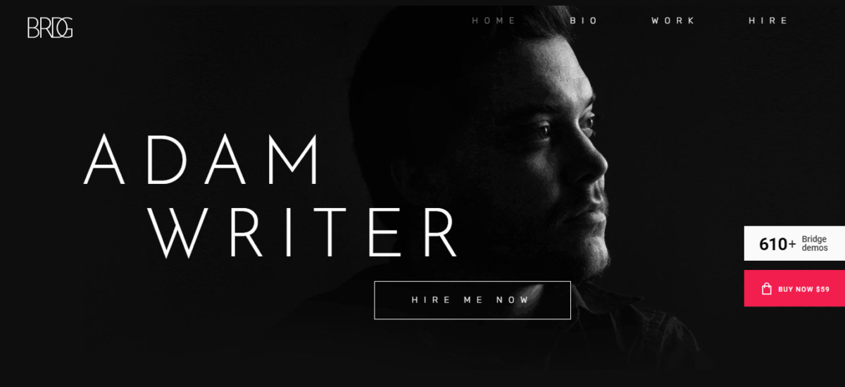 10+ Best WordPress Themes for Writers (Free and Premium)