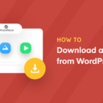 How to Download All Media from Your WordPress Site 2