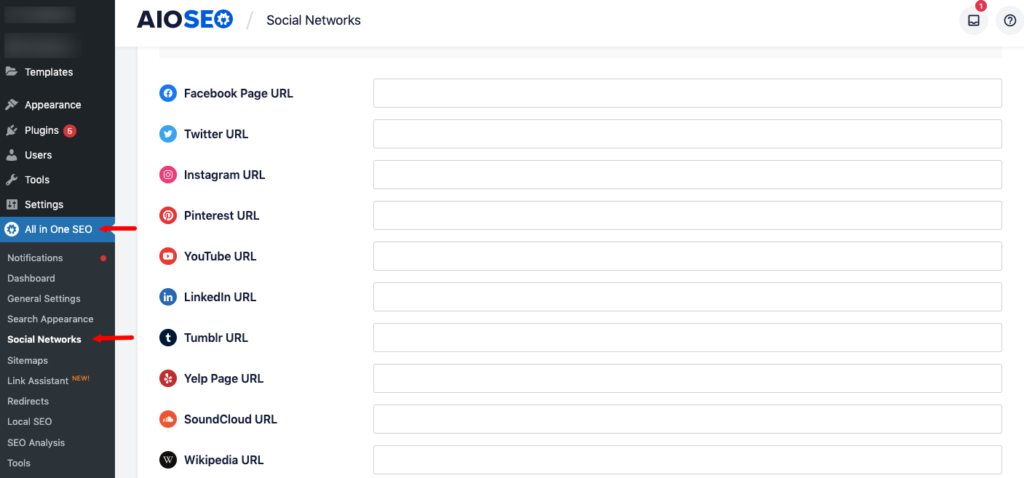 All in One SEO social networks settings