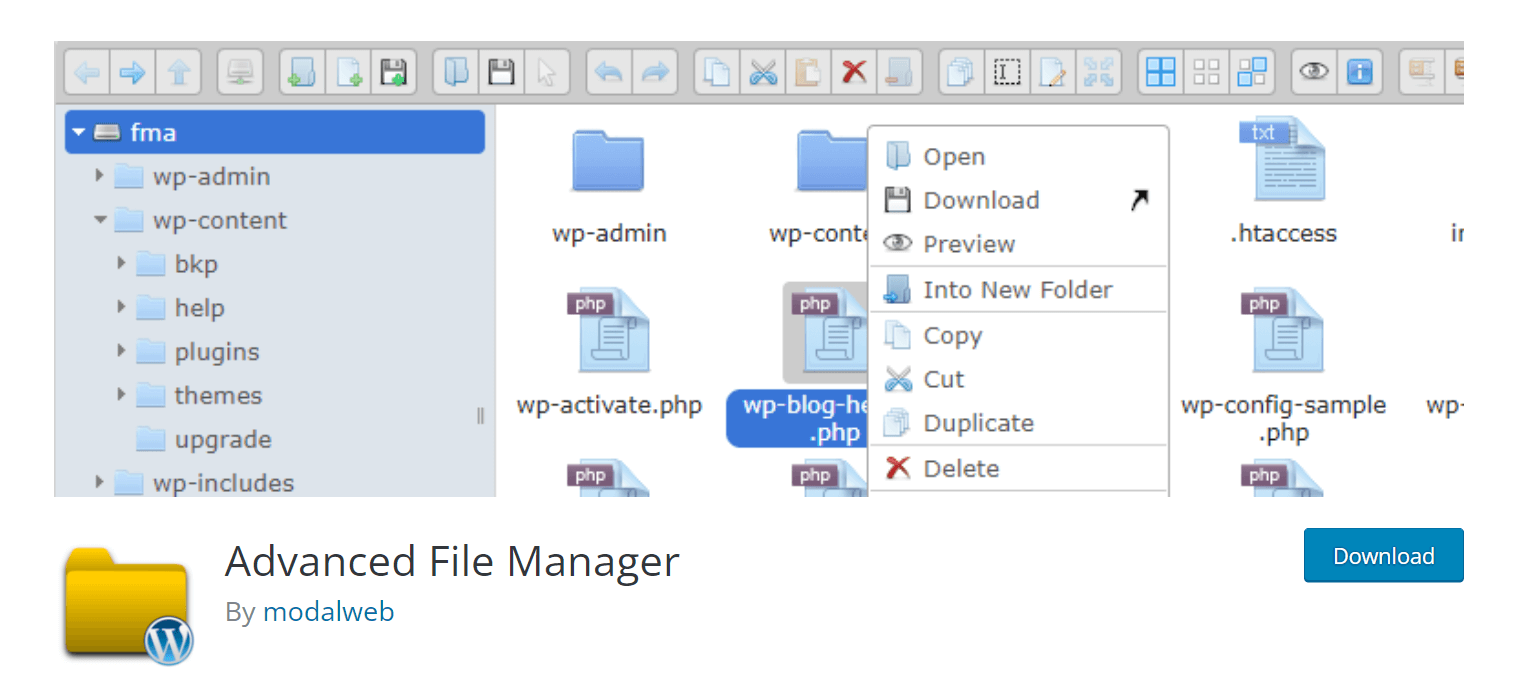 Advanced File Manager plugin