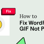 How to Fix WordPress Gif Not Playing