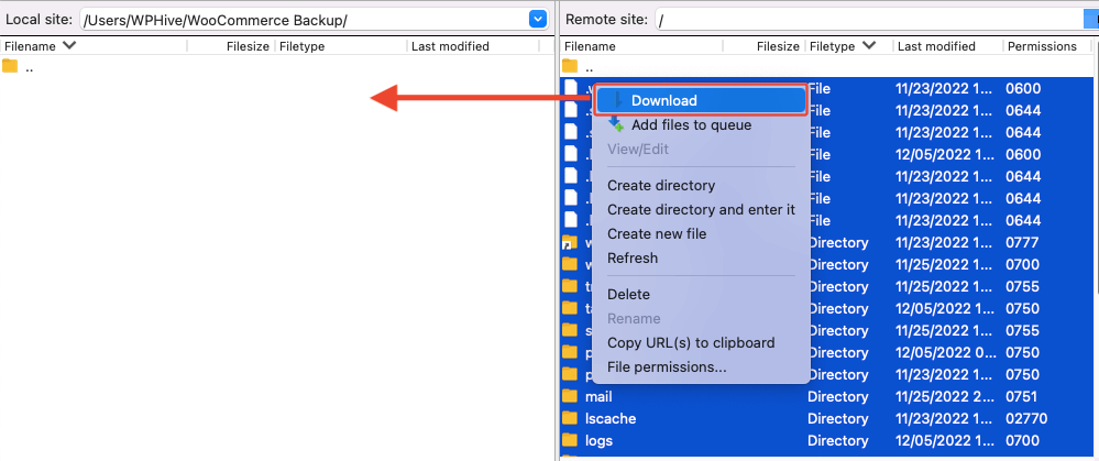 Transfer your files to the local site