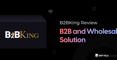 B2BKing Review