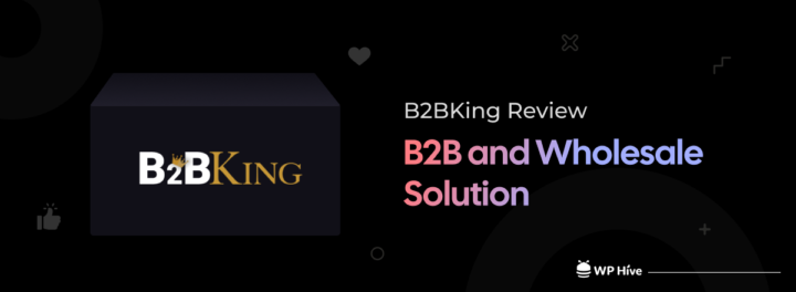 B2BKing Review