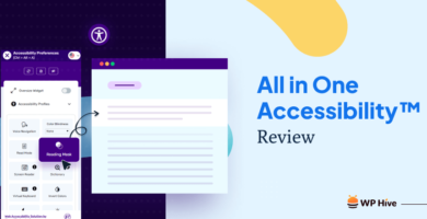 All in One Accessibility Plugin Review